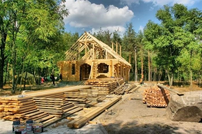 Влияние внешних факторов на цены на корню леса в Нижегородской области на 2024 год